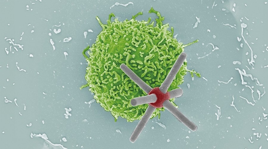 Spinning Robots Mimic Cells, Unlock Secrets of Immune Response