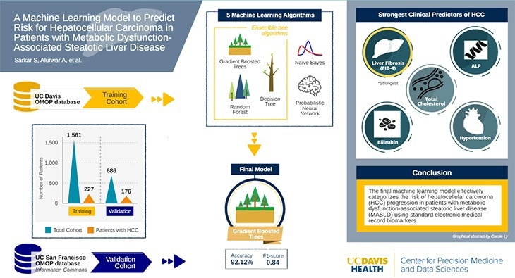 AI Model Offers New Approach to Liver Cancer Risk Assessment