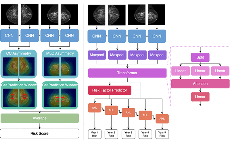 Deep Learning Model for Predicting Breast Cancer