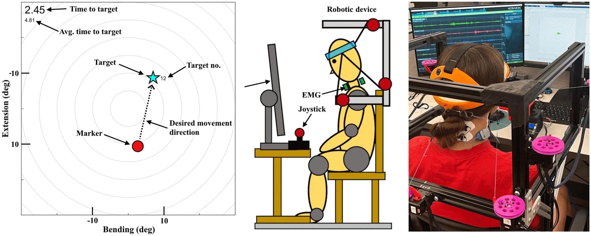 Cable-Driven Robotic Platform for Natural Head-Neck Movements