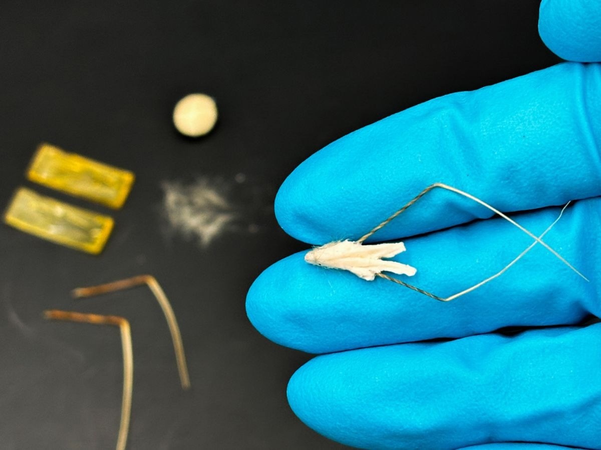 HybriBot as a Biodegradable Vector for Reforestation