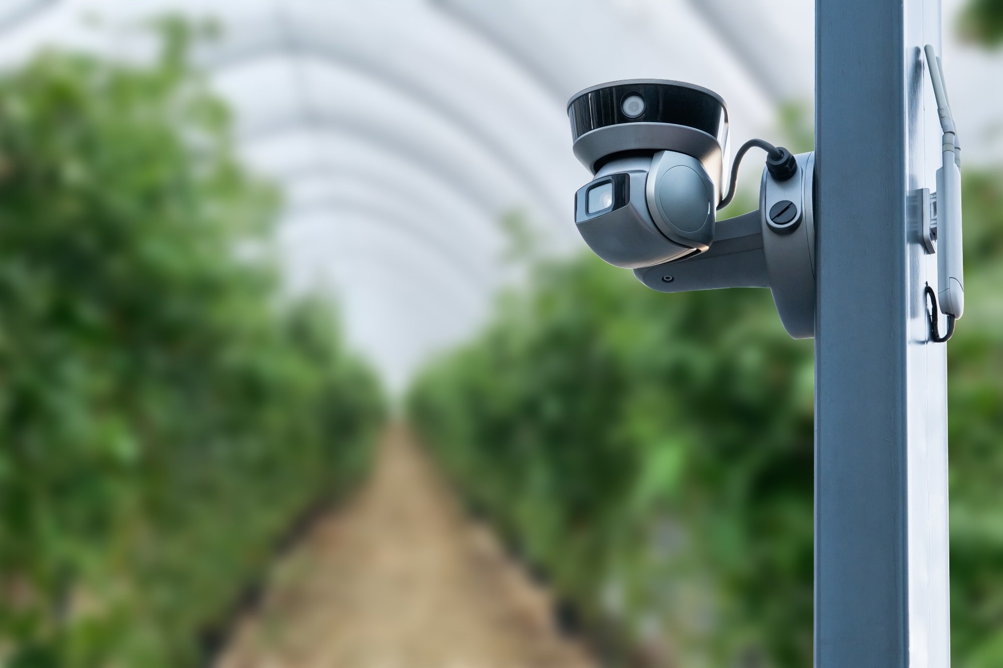 Robots in Precision Agriculture: Recent Advancements