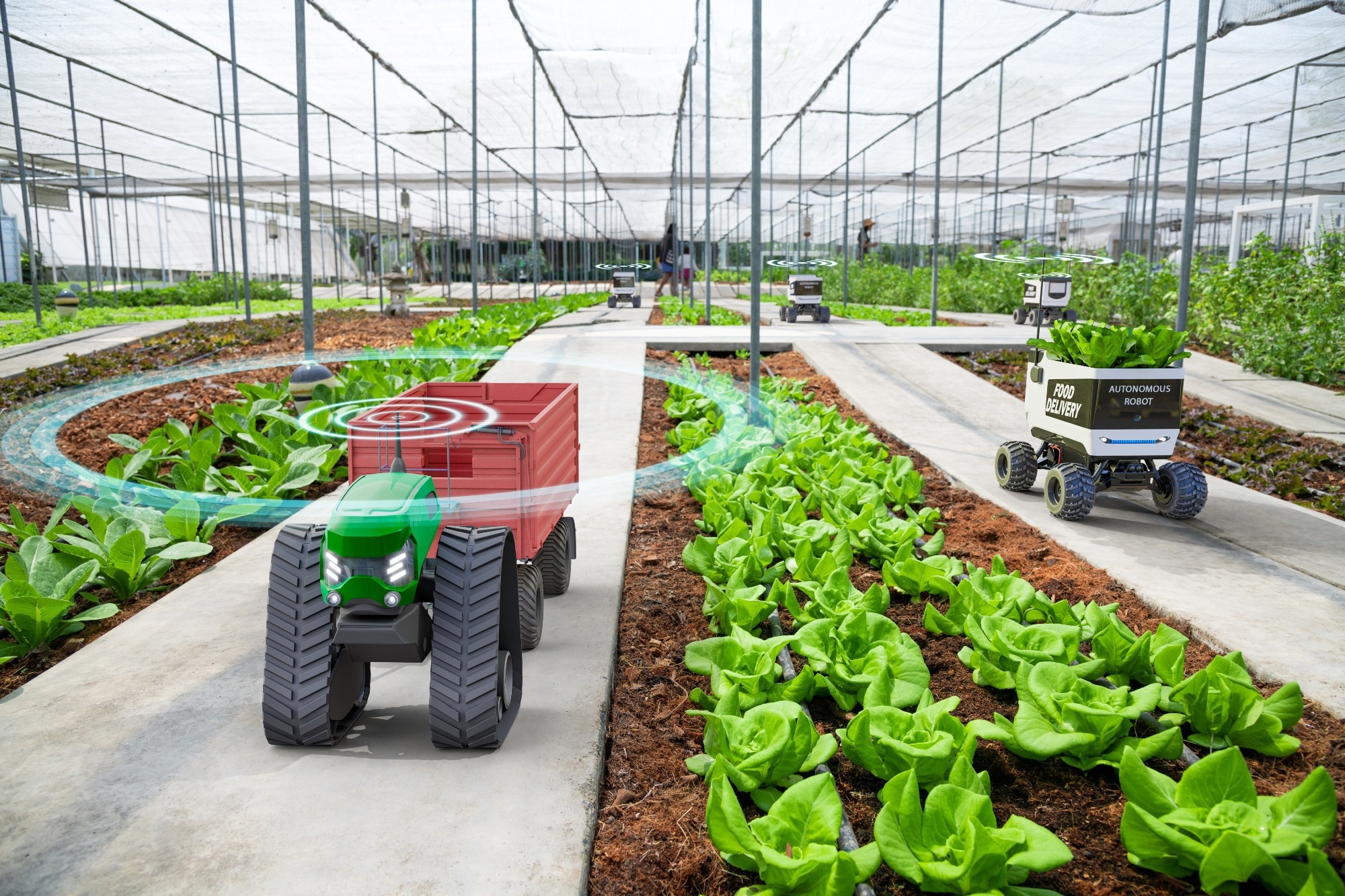 Robotics Transforms Greenhouse Horticulture