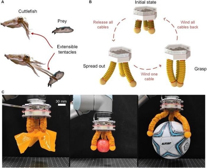 Hybrid-Driven Gripper Redefines Object Handling