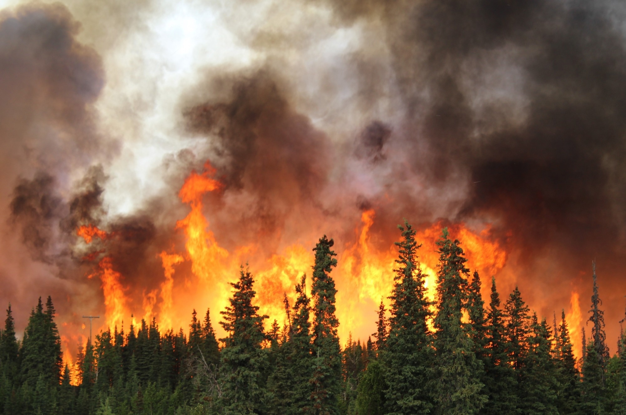 Hyperspectral Imagery-Based Onboard AI for Fire and Smoke Detection