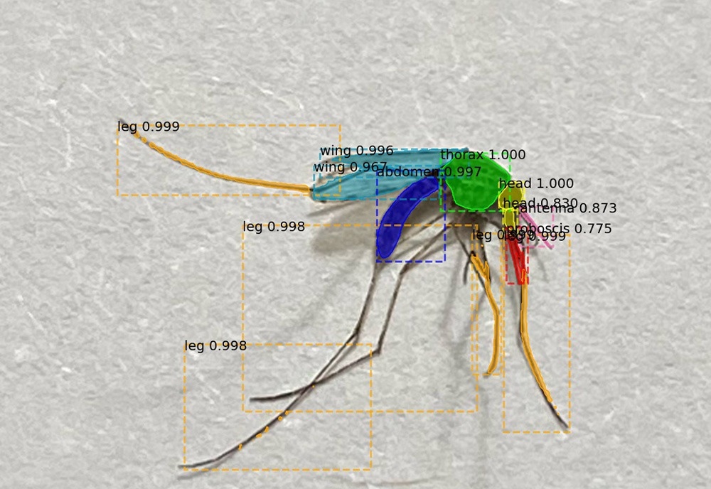 AI to Help Combat Malaria in Africa