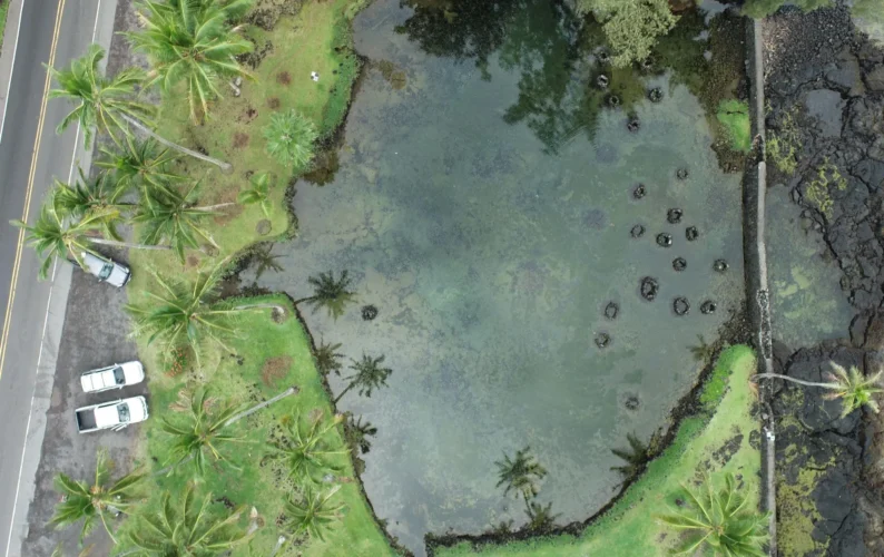Aerial view of Honokea loko i?a in Keaukaha, Hilo during low tide.