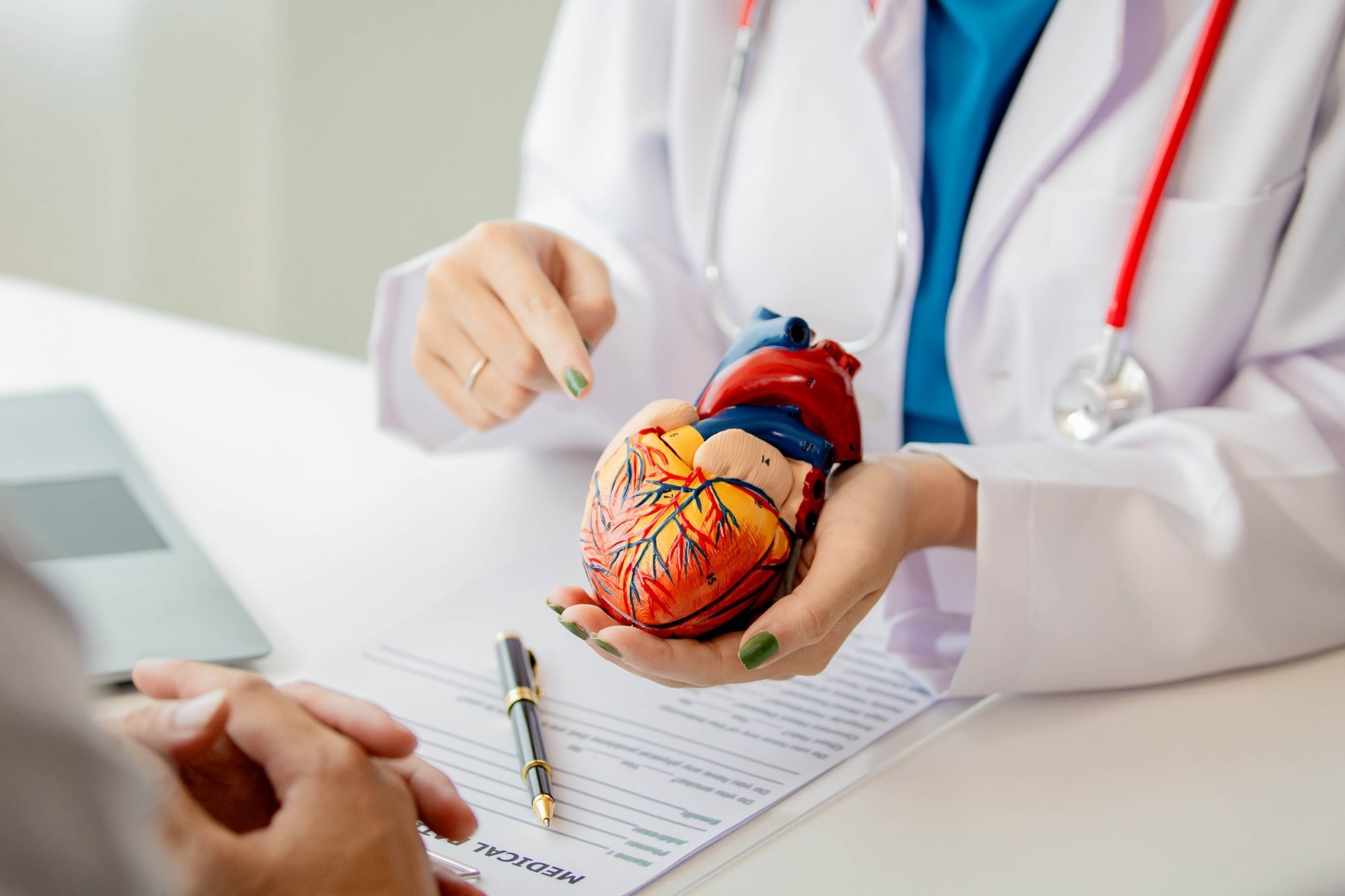 AI Streamlines Heart Function Assessment