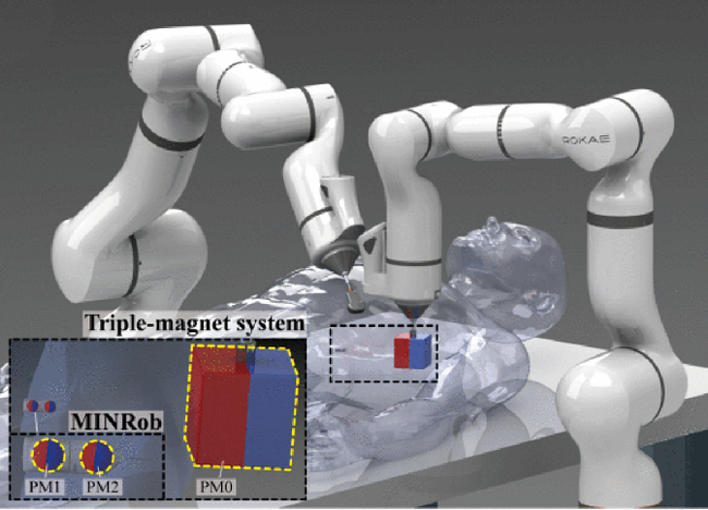 Miniature Magnetic Robots Hold Promise in Biomedical and Surgical Operations