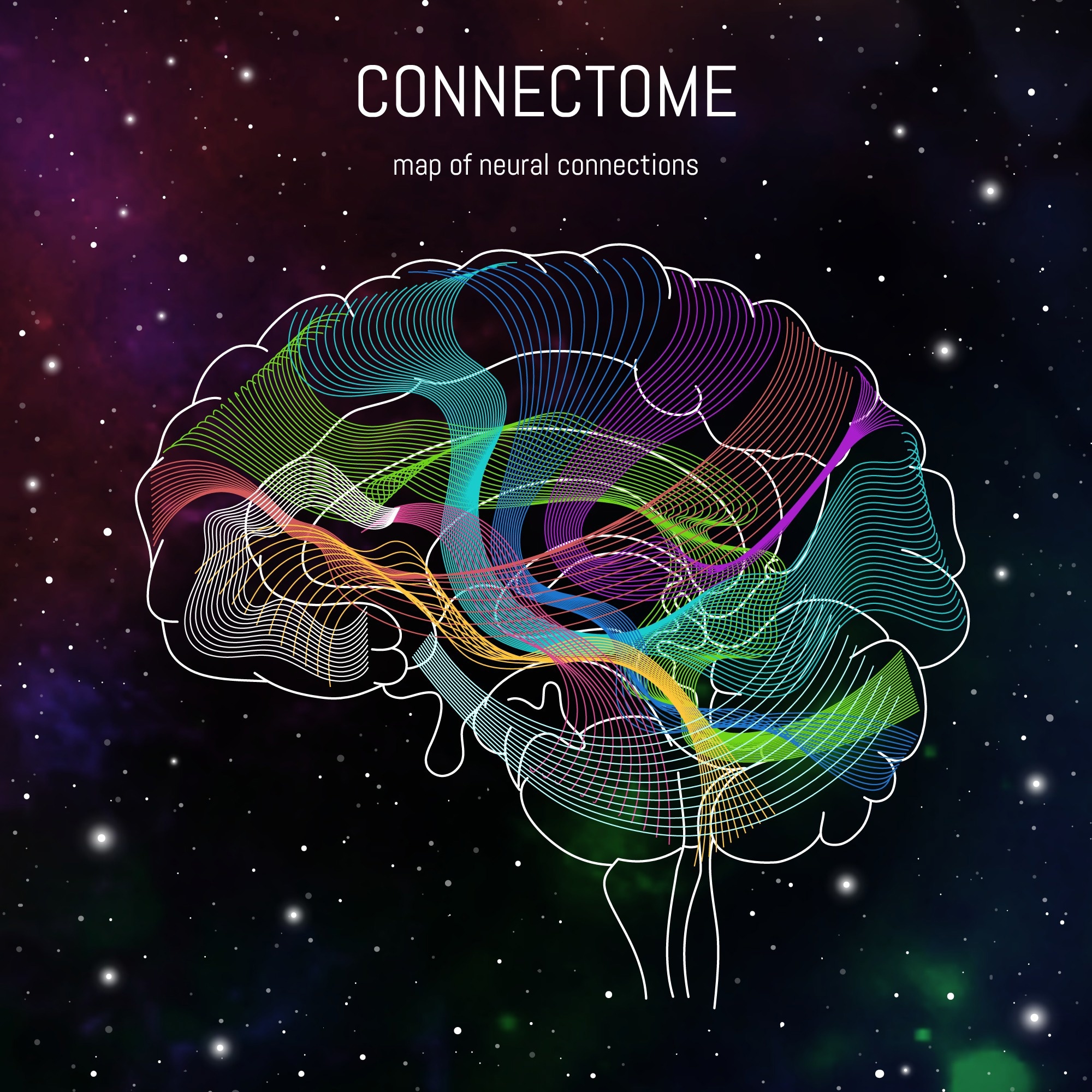 NeuroTrALE Transforms Brain Mapping with AI