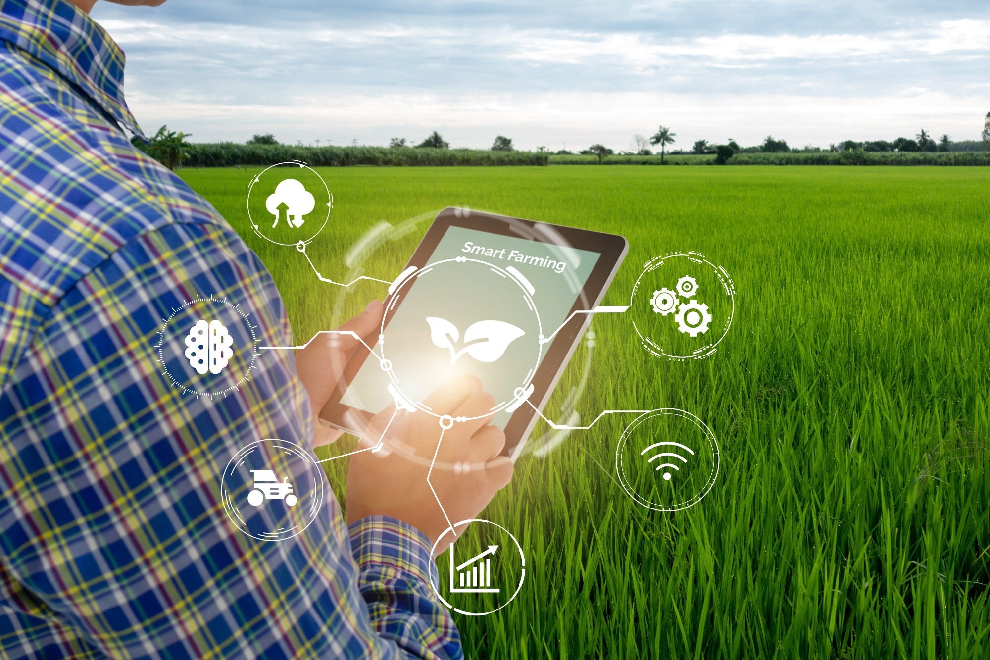 AI and IoT Transform Agri-Food Sustainability
