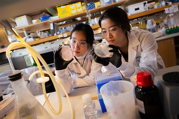 This image shows first study author Clara Hu (left) with fellow doctoral candidate Scarlett Qian (right). Both work in Trey Ideker