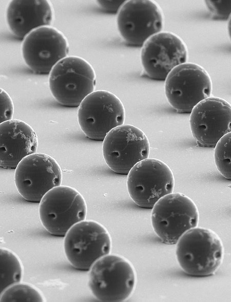 Scanning electron microscope image of the printed bioresorbable acoustic hydrogel microrobots.