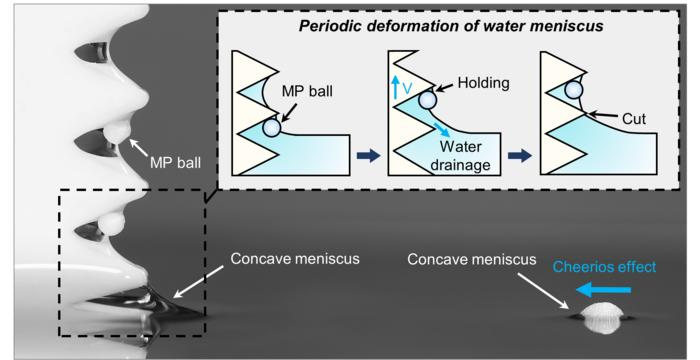 The schematic shows the skimming process of the MP ball with periodic deformation of the water meniscus.