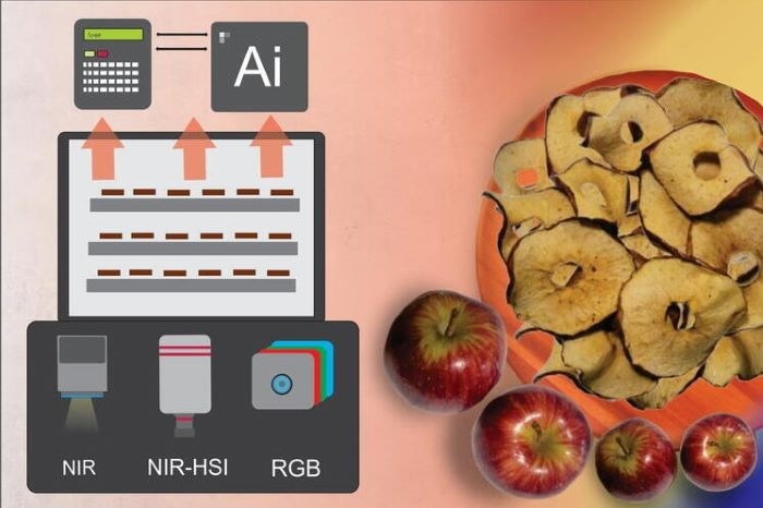 Illinois researchers studied optical sensing techniques for smart food drying