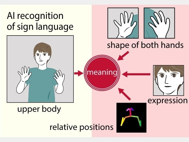 Adding data such as hand and facial expressions, as well as skeletal information on the position of the hands relative to the body, to the information on the general movements of the signer’s upper body improves word recognition.