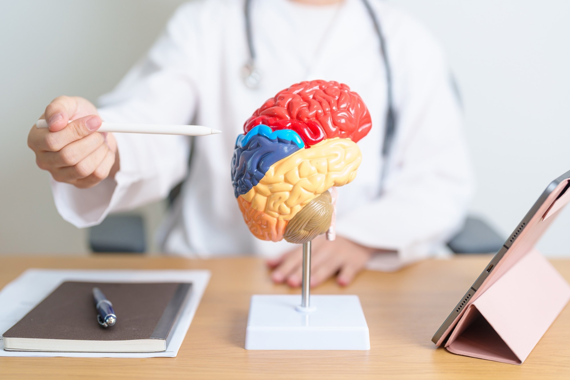 Doctor with human Brain anatomy model and tablet.