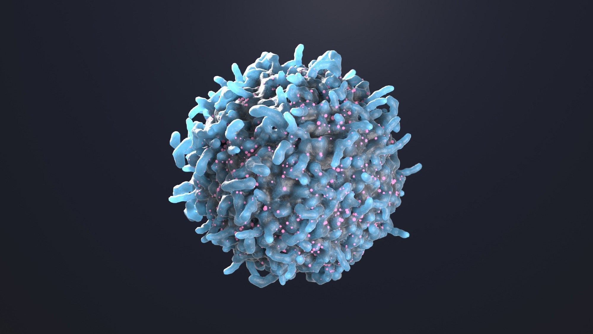 3d rendering of a immune cell, t cell.