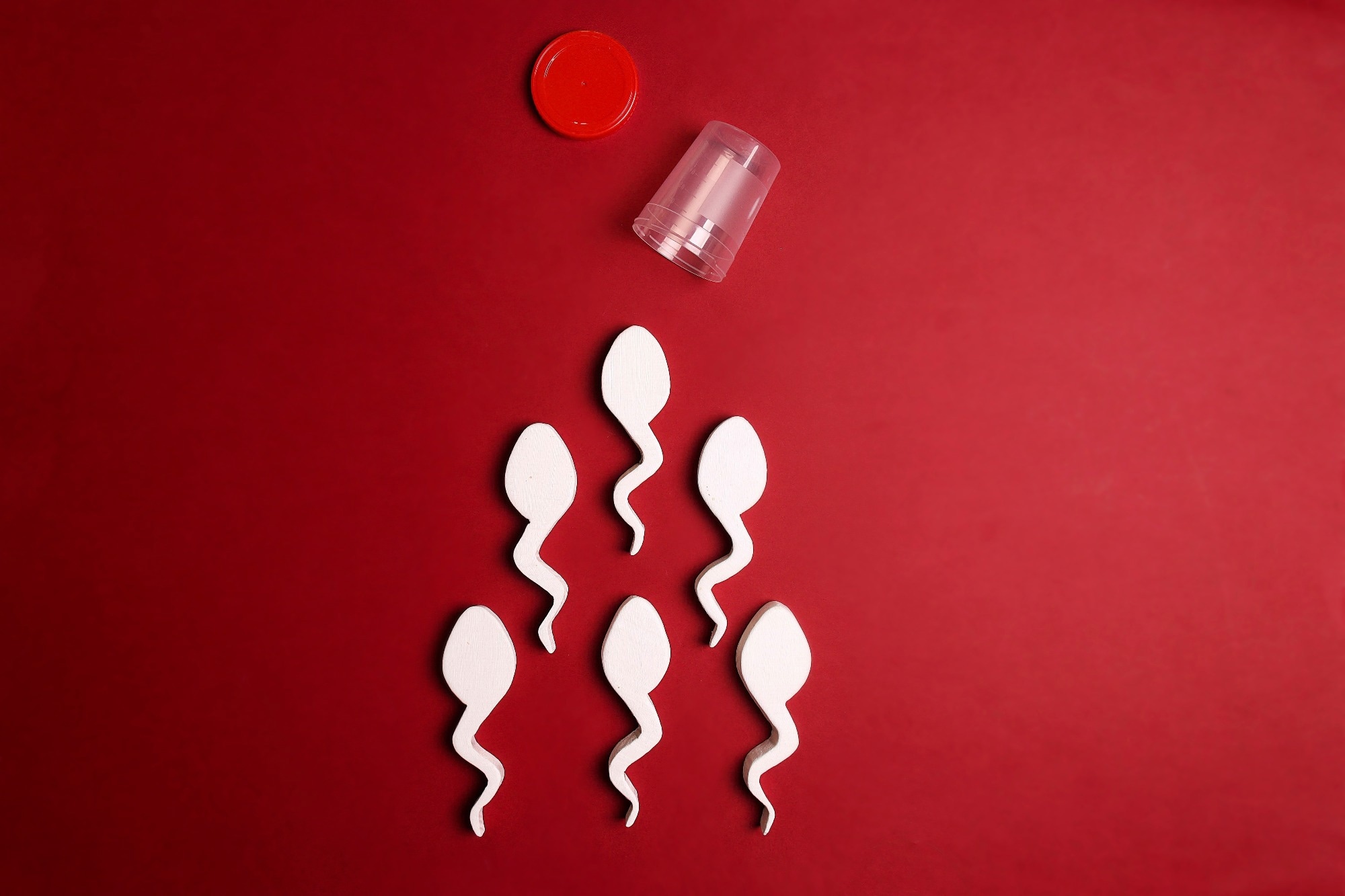 Sperm and Fertility depiction.