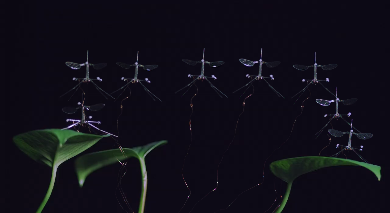 composite image of the Harvard RoboBee landing on a leaf.