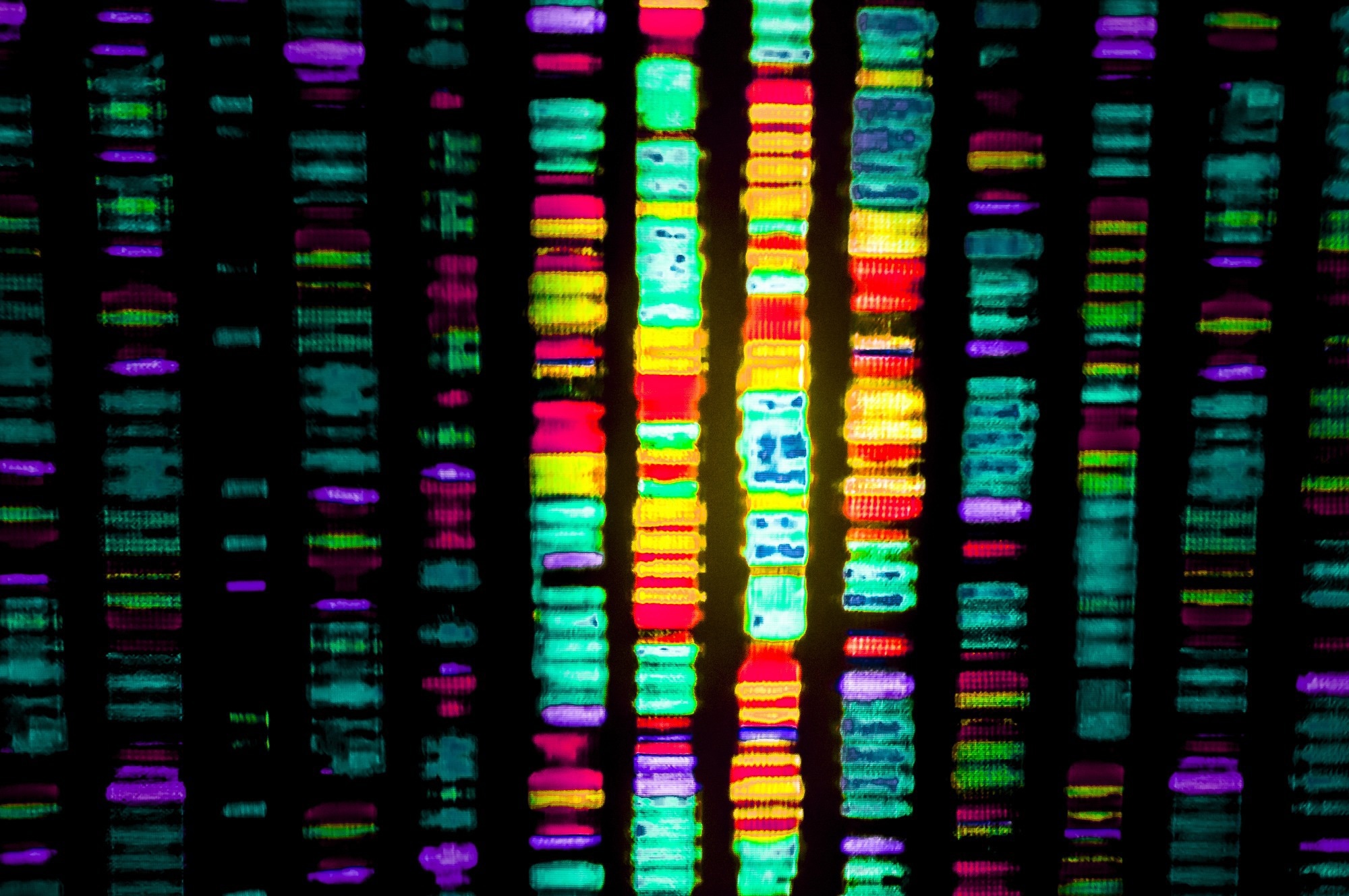 DNA sequence.