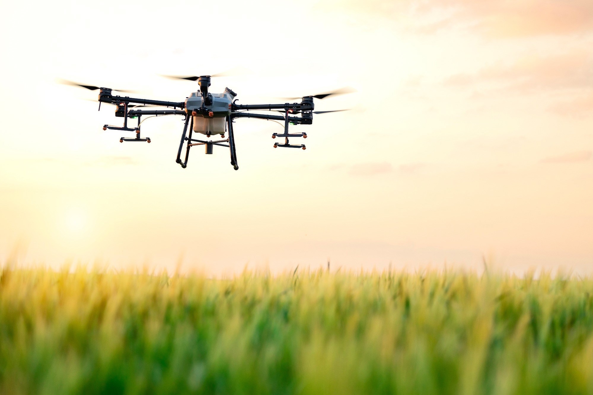 Drone flying over the field in sunset.