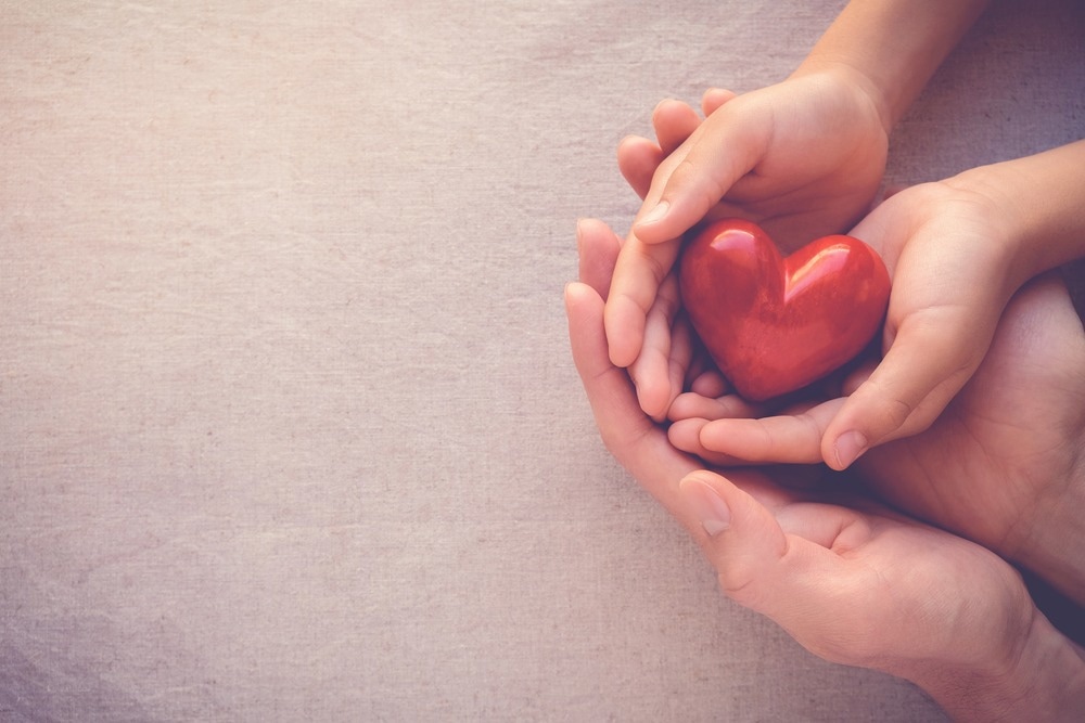 people holding little heart in hand