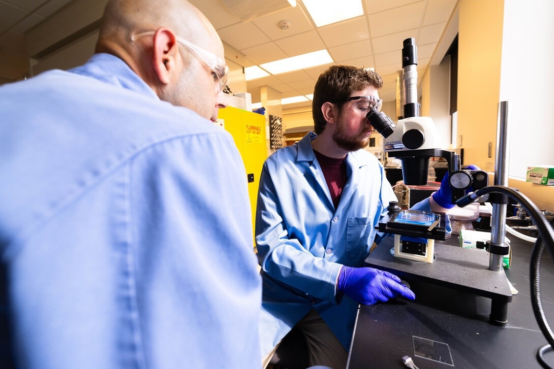 Brennan Watts, a fourth-year doctoral student, looks through a microscope at a checkerboard-patterned hydrogel with Stephen Morin, associate professor of chemistry.
