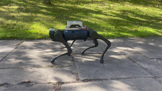 Animal-Inspired AI Robot Learns to Navigate Unfamiliar Terrain
