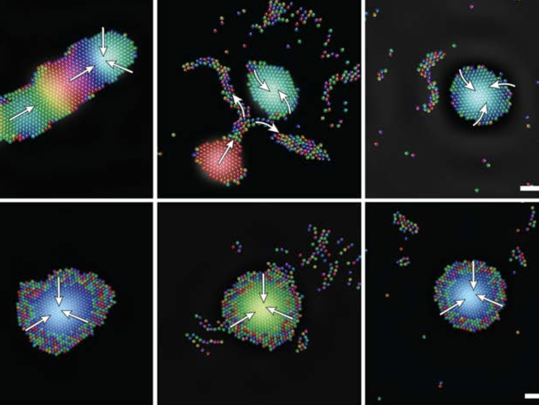 A new study led by Penn State researchers shows for the first time how sound waves could function as a means of controlling micro-sized robots.
