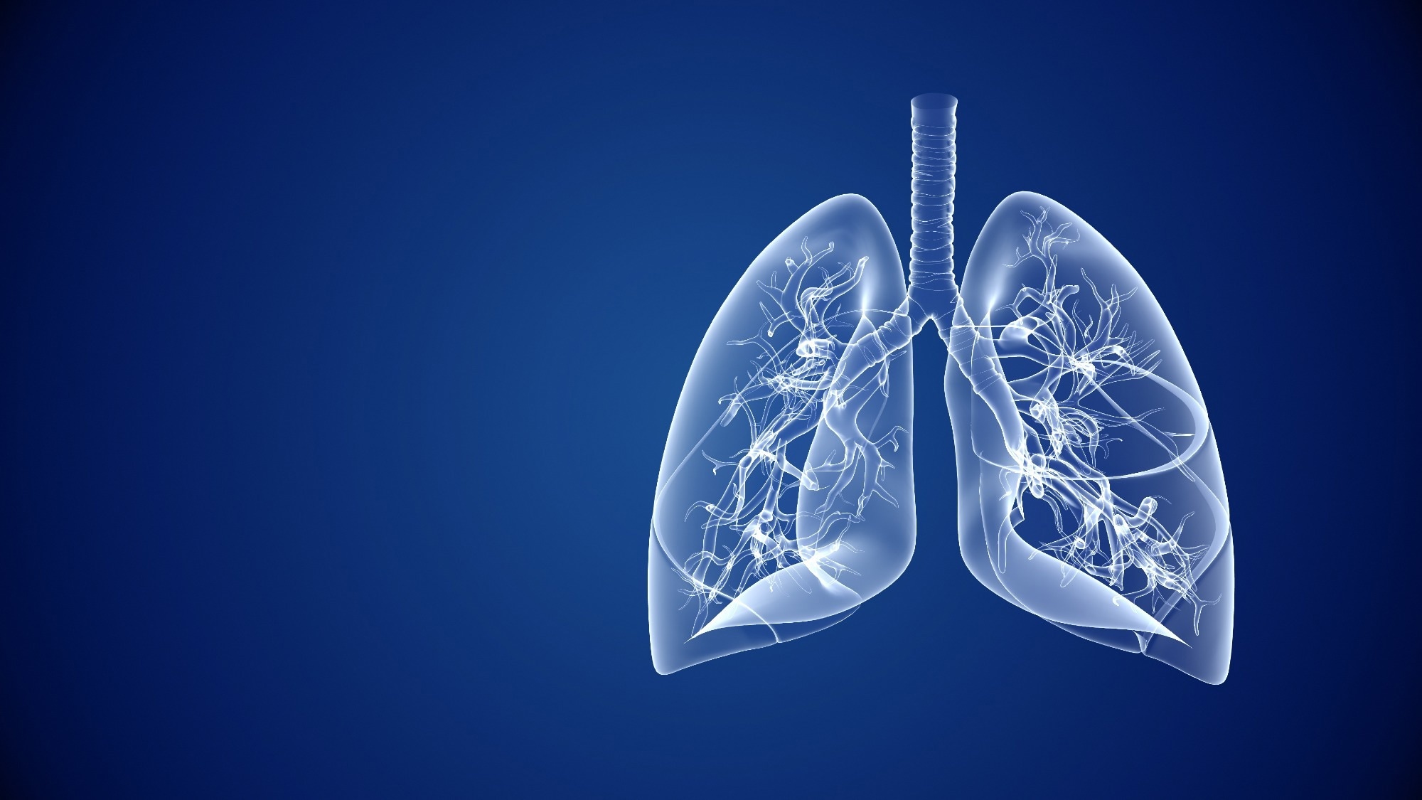 3d Human lungs healthcare and medical abstract background
