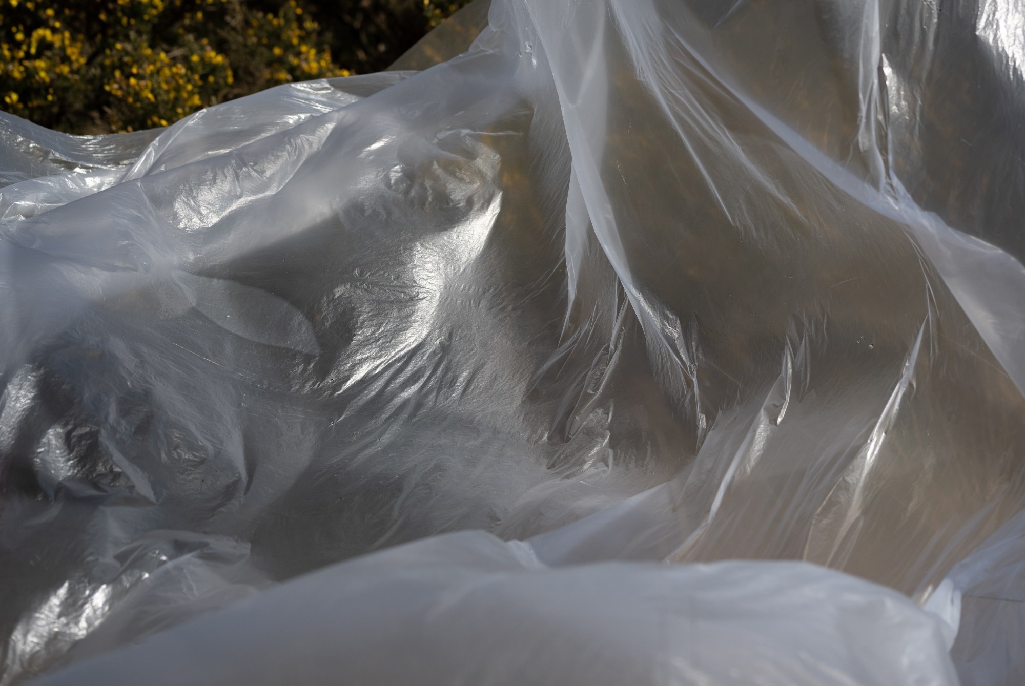 Thin-Sheet 'Metabots' Shapeshift from Flat Sheets into Multiple Shapes