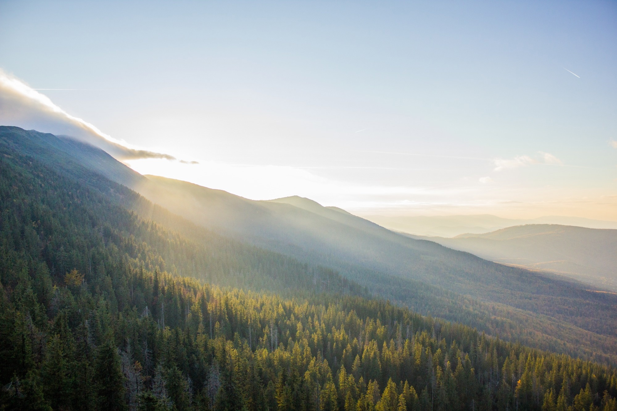 Sunset mountain forest, nature landscape.