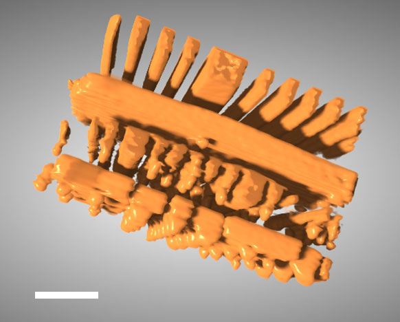 This 3D image of an integrated circuit showing slices through its thickness was reconstructed with a new technique that incorporates artificial intelligence called the "perception fused iterative tomography reconstruction engine". Image Credit: Brookhaven National Laboratory