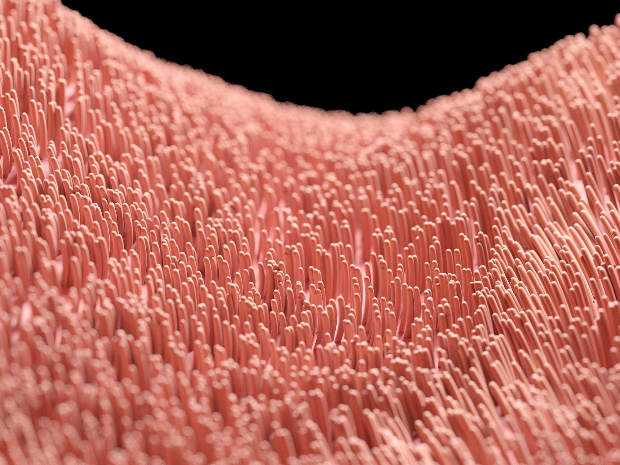 3d rendered illustration of human cilia.