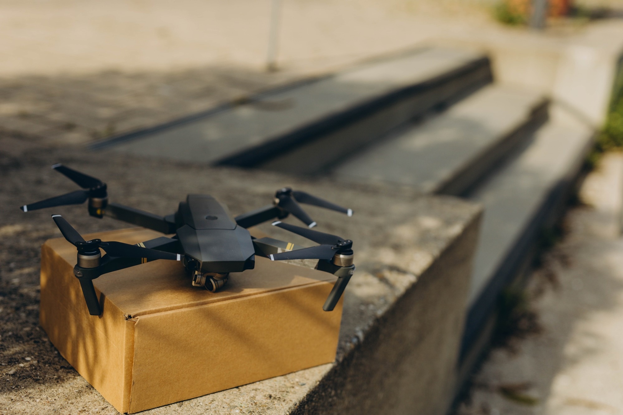 Visual Signals May Improve Trust and Predictability in Drone Delivery Interactions