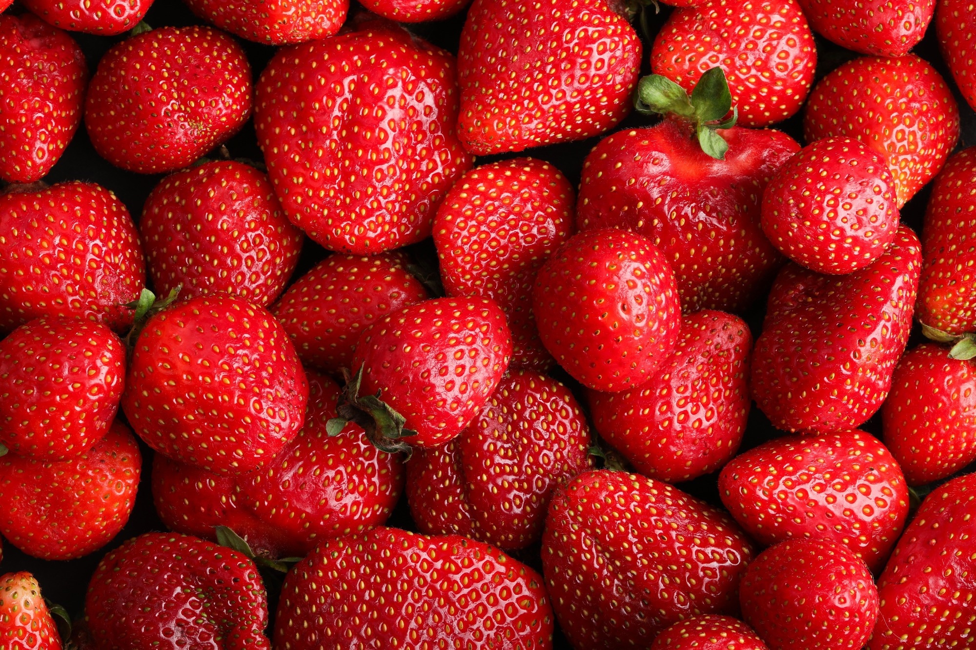 Fresh ripe strawberries, a demonstration of the type of soft objects that the robot can pick up.
