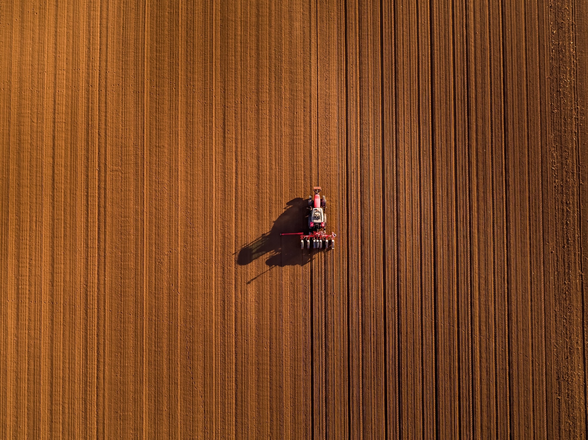 Tractor planting seeds in a prepared field during farming season, aerial view.
