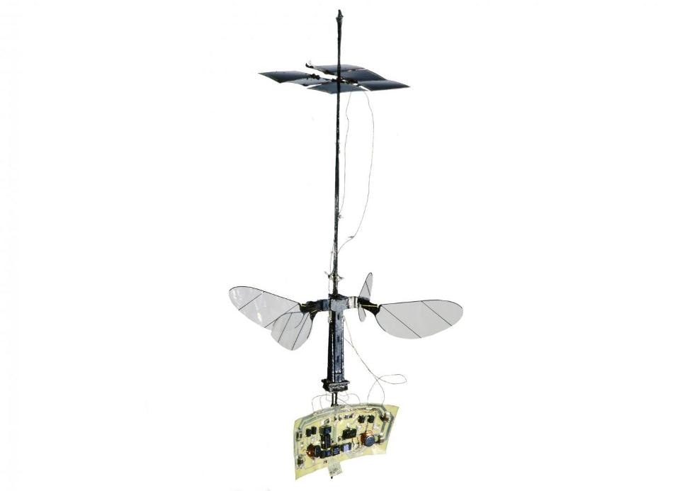 Miniature RoboBee Flies Untethered for the First Time