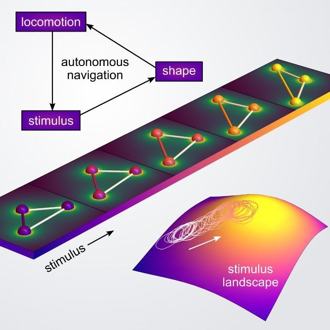 New Microrobots Could Perform Distributed Sensing of Material Defects