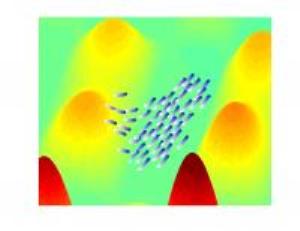 Robotics Researchers Develop Computational Model Inspired by Bacteria