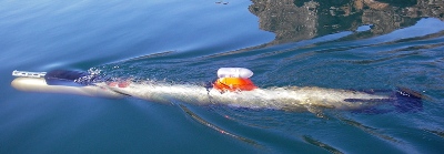Researchers Deploy UBC-Gavia Robot to Explore Antarctic Ice Shelf