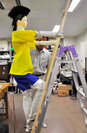 Japanese Prof Invents Insect Control Humanoid After Buddy Attacked