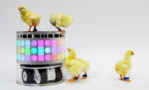 Collaboration Between Biologists and Robotic Specialists Result in Innovative Robots