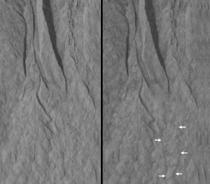 NASA’s Mars Reconnaissance Orbiter Observes Gullies Formed by Seasonal Freezing of Carbon Dioxide