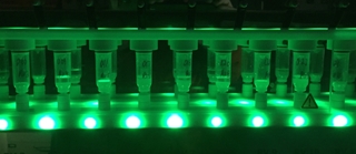 Robots Assemble Small Molecules into Larger Peptoids
