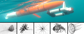 Oceanographers Develop New Robot to Image Zooplanktons as it Glides through Ocean