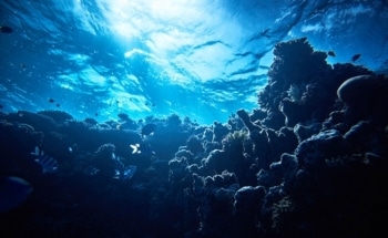 New Algorithm Enables Marine Robots to Weigh Risks and Probable Rewards of Exploring Unknown Region