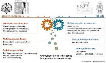 Research on Improving Robot Intelligence via Brain-Inspired Artificial Intelligence