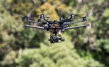 New Method Uses Drones and IR Imaging to Detect Koala Populations
